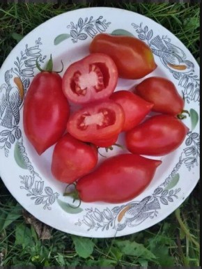 ����� ���� �� �������: ����������� �������� � ���������� ������