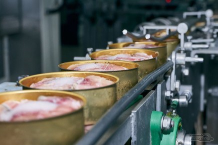 ������ ���������: ��� ��������� ������� �������� ��� ����������� �����������