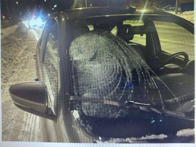 ���������������� ����������� ������� ������������� �������������� ��� � �������� ���������