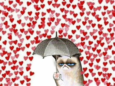 С Днём всех влюбленных вас! Любите вне праздников, дарите подарки просто так и в любой день, а сегодняшний повод просто возможность провести ещё один хороший день с близкими людьми