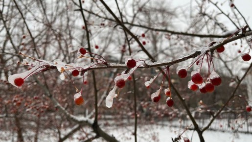 Аномально теплую погоду прогнозируют в Челябинской области