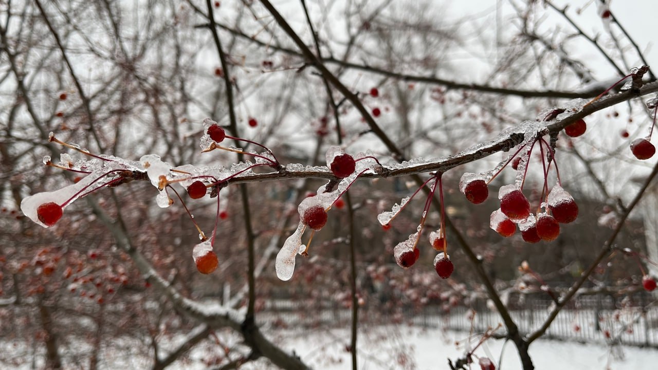 Аномально теплую погоду прогнозируют в Челябинской области