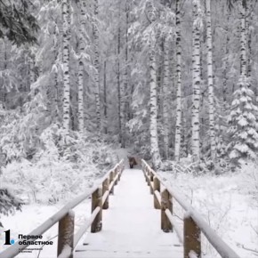 Утро встретит бодрящим холодком — до -11°С