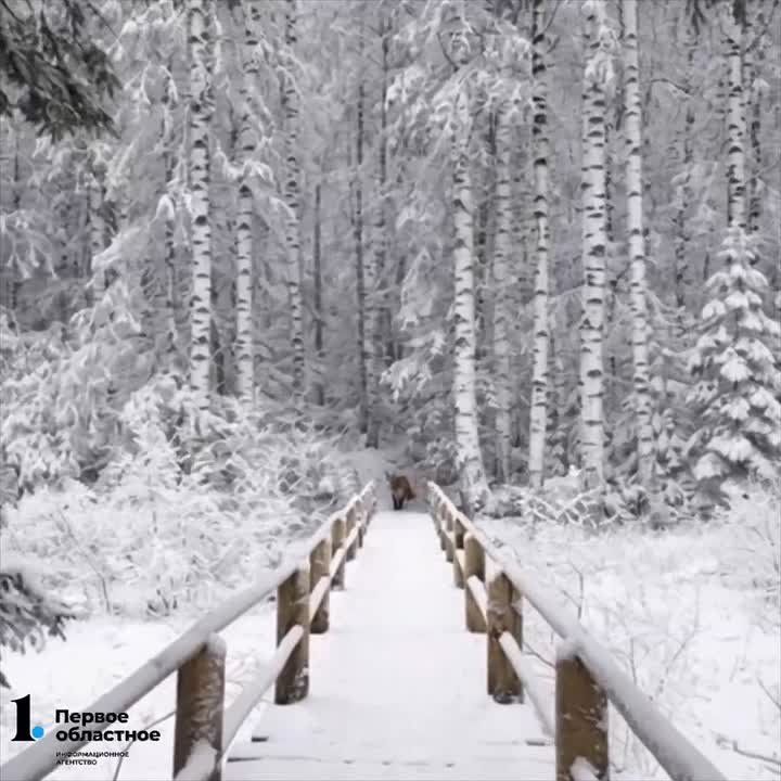 ���� �������� �������� �������� � �� -10��