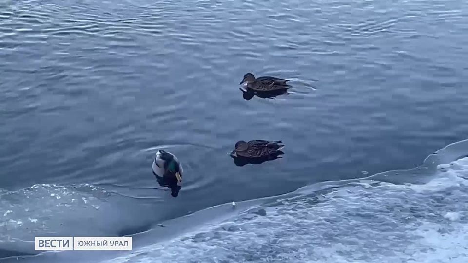 ���� �������� ������ ��������� � ������ ����������