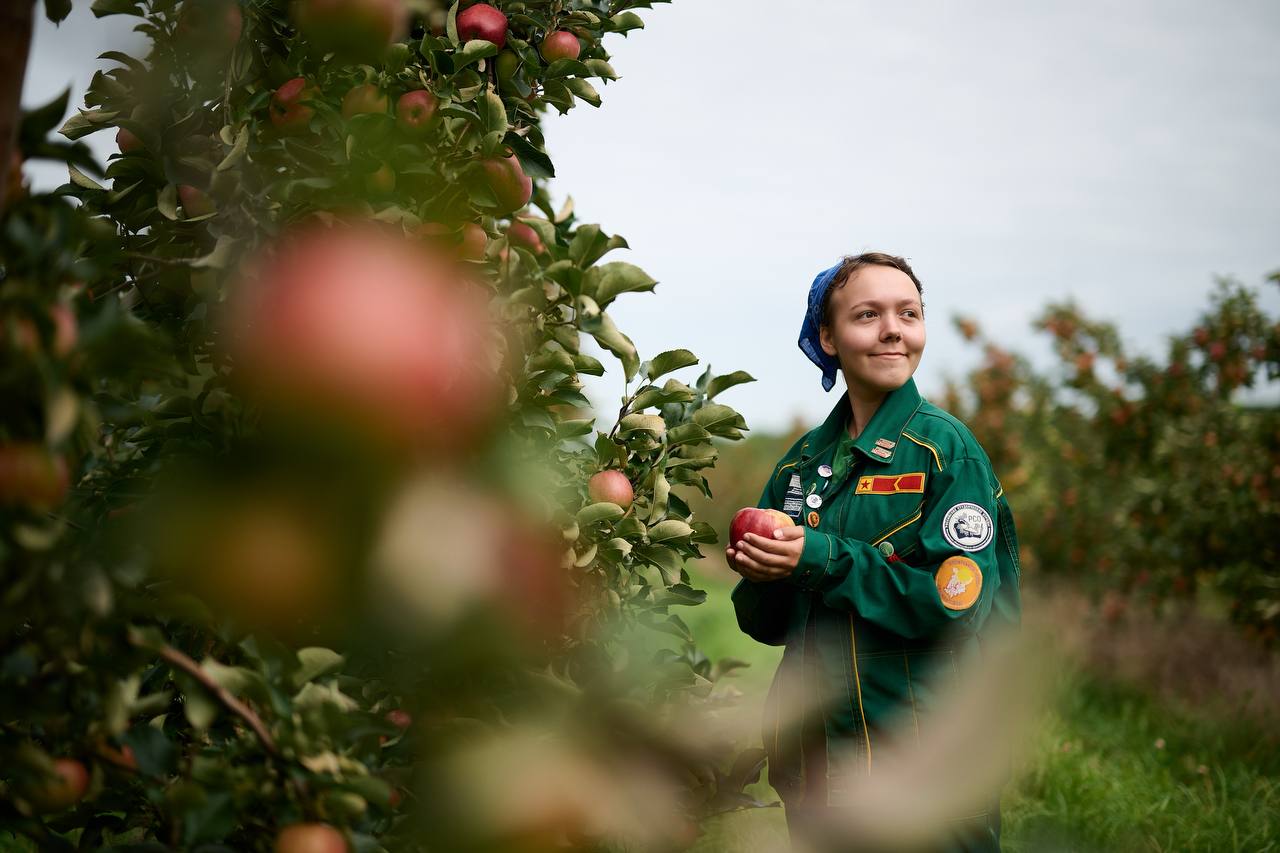 Дмитрий Чернышенко, Валерий Фальков и Григорий Гуров поздравили Российские студенческие отряды с днем их основания Дмитрий Чернышенко, Валерий Фальков и Григорий Гуров поздравили Российские студенческие отряды с днем их основания
