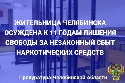Центральный районный суд г. Челябинска вынес приговор по уголовному делу в отношении 56-летней местной жительницы
