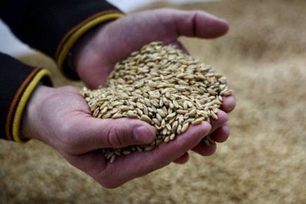 � ������ ���� � ������ ����� �������������� ����� 40 ����� ���� �����