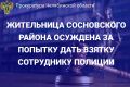 Приговором Сосновского районного суда жительница п. Полетаево осуждена по ч. 3 ст. 30 ч.1 ст. 291.2 УК РФ (покушение на дачу мелкой взятки)