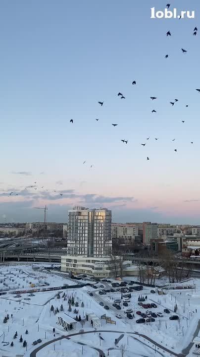 ����� ��������� � ���������?