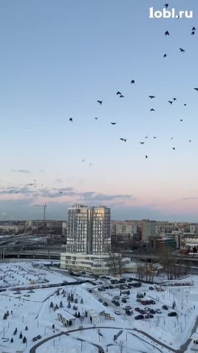 ����� ��������� � ���������?