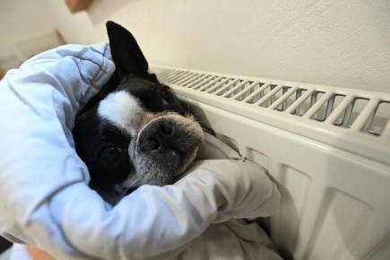 � ���������� ��� ������� ����� ����� �������� ��� ��������� ��-�� ������