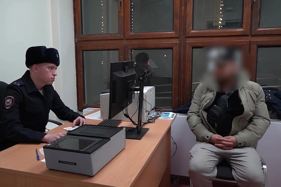 В Челябинской области в 12 раз уменьшилось количество преступлений, совершенных иностранными гражданами