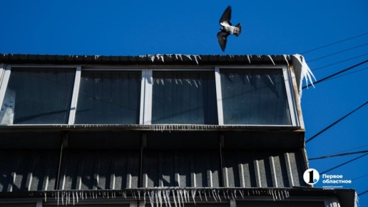 � ���������� ��� ��������� ���� �� ��������