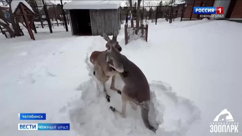 ������� �� ������������ �������� ����� �� �������� � ������ ����������� ����