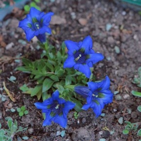 ��������� 'Blue Horizon': ���������� ���� �� ����� ������