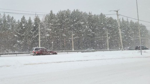 ��� ������������ �������������� � ��������� � ������� � ����������� �������