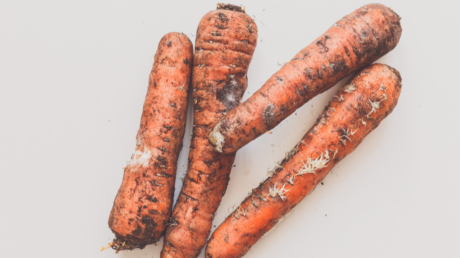 Как правильно хранить морковь: советы дачников для максимального результата