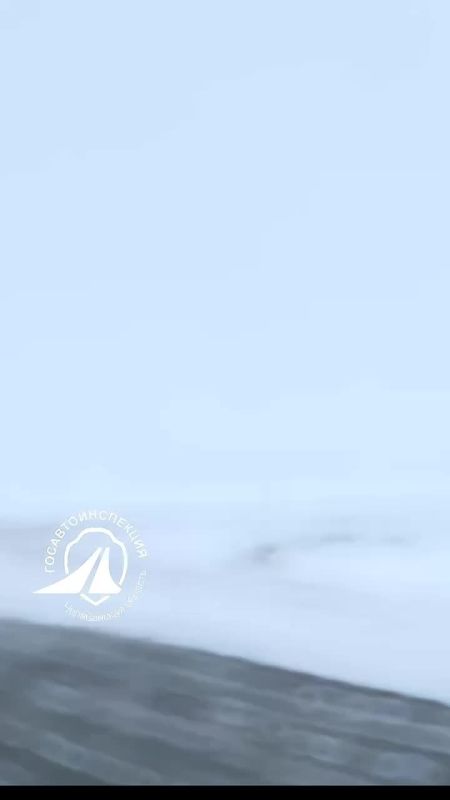 #����������������74