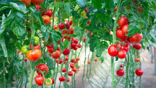 ������� ��������������� �������: 20 ������ ��� ������ �������