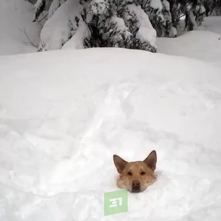 ������������ ���� ������� � ������� ��������