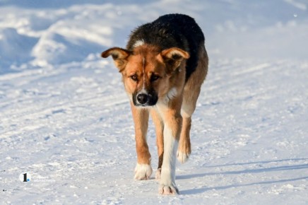 � ���������� ������� ���������� ���������� c���� � ����� �� ���������