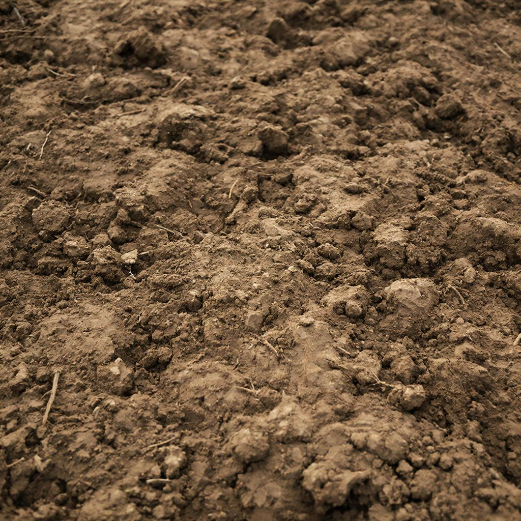 Как вернуть жизнь вашей почве: простые шаги к плодородию