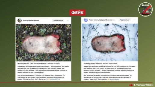 Фейк: В российских регионах массово находят обезображенные останки мужских тел без конечностей