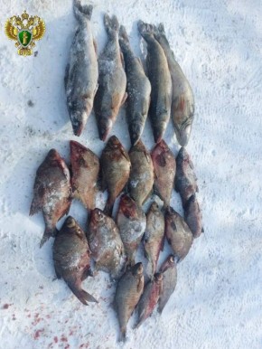 �� ���� ��������� ����������� ������ � ���������� ������� �����, ����������� ����������� ���������� ������� ����