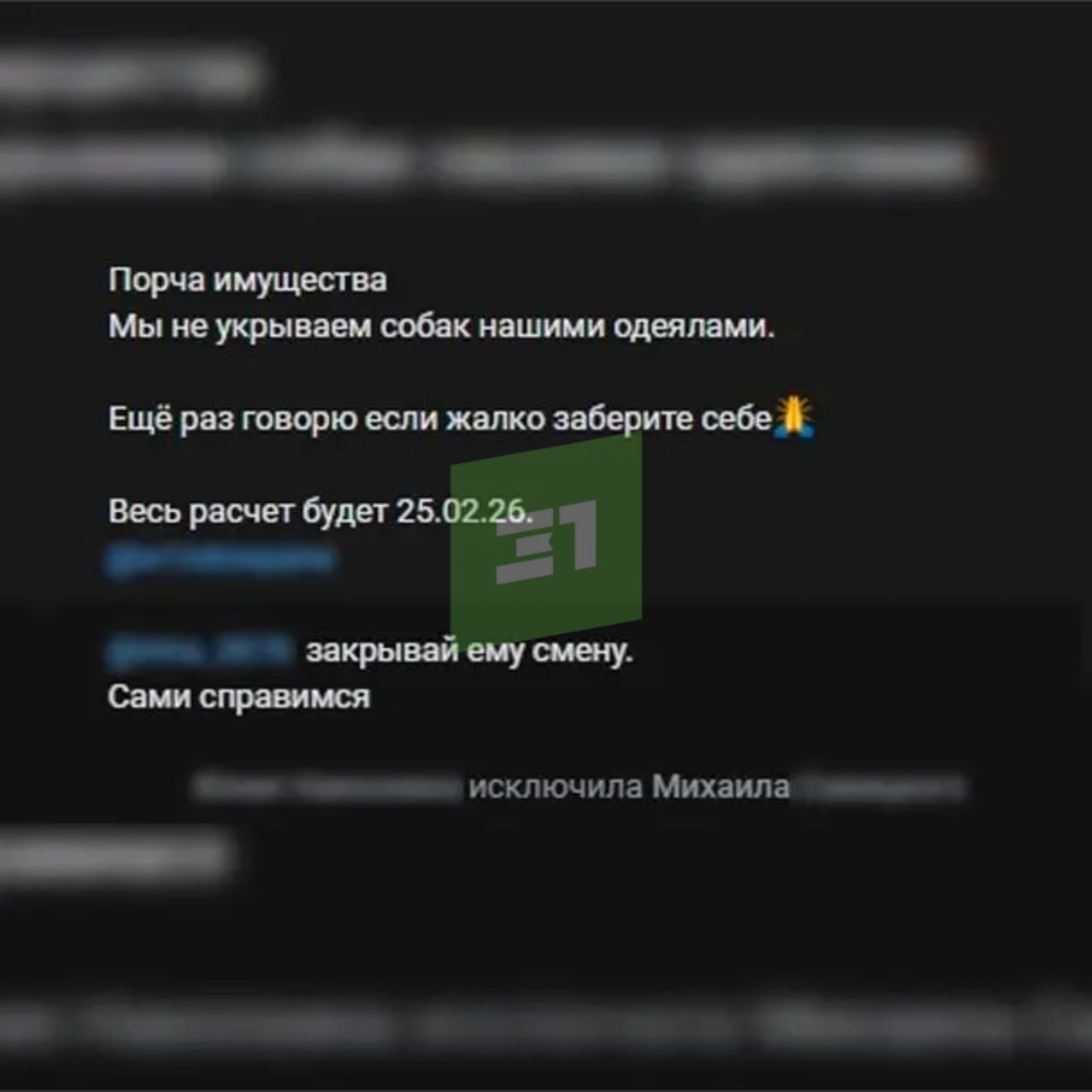 Собаку, которая ночевала у пиццерии, забрали в приют Собаку, которая ночевала у пиццерии, забрали в приют