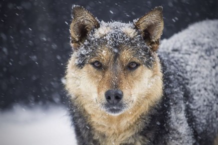 � ���������� ������� ������� �� �������� ����� ����, ��� �� ����� ������� ��������� ������