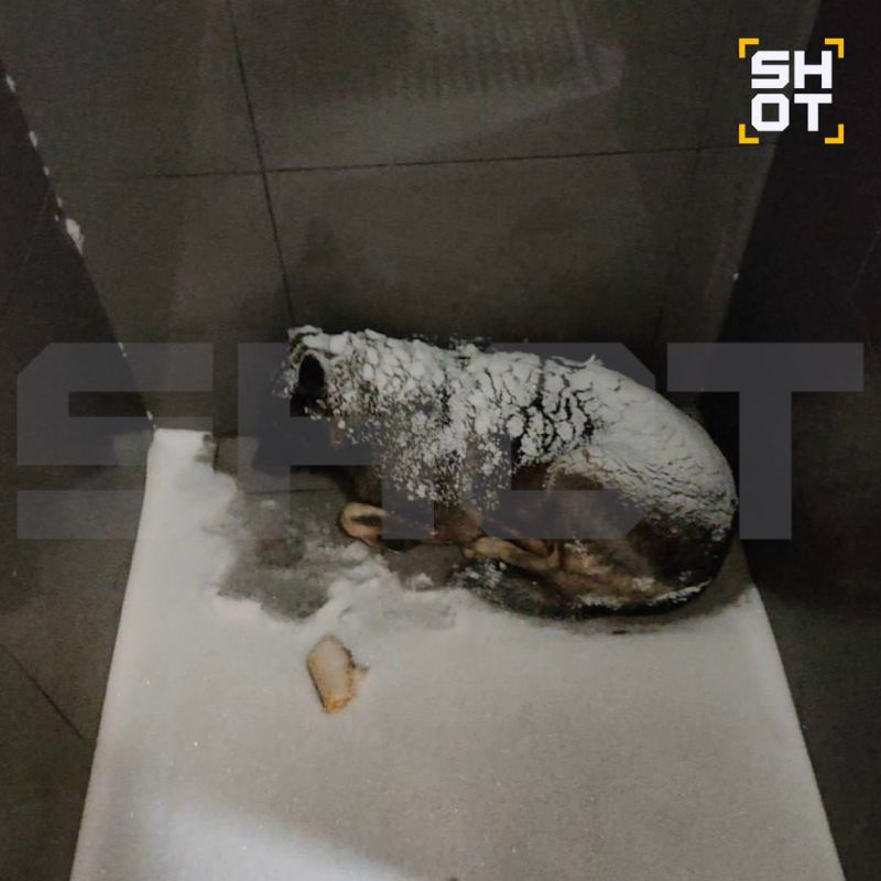 ����� ����� �������� �� ���� ������ ��-�� �������� � ����������