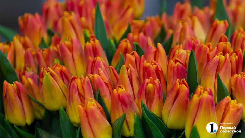 ��������� ��������� ��������� 7 000 ������ �� ������� � 8 �����