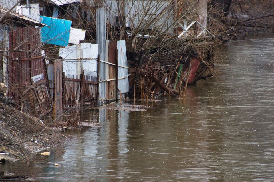 ��� ���������� ���������� �� ������ ������������ ������ � ����������