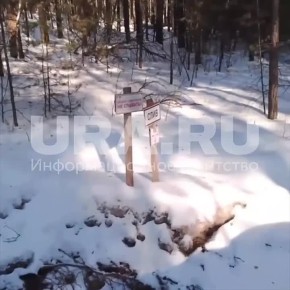 � ���������� ����������� ����� ����� ������� �������