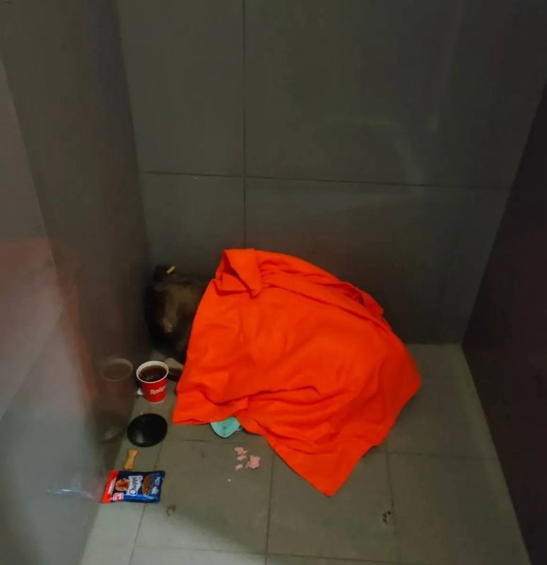 �������� ����� ������ ���������������� ������� ������ ������� � �������� ������