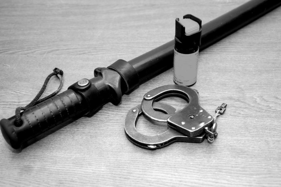 � ��������������� ������ �������� ��������, ������������� � �������������