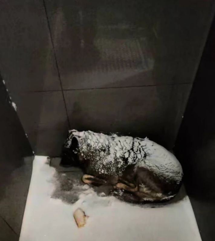 ������� ��������� ��������� �������� �� ���������� �� ���� ������������ � ���� �� ����� ����������� ����������� � ����������� ����� ���������� �������