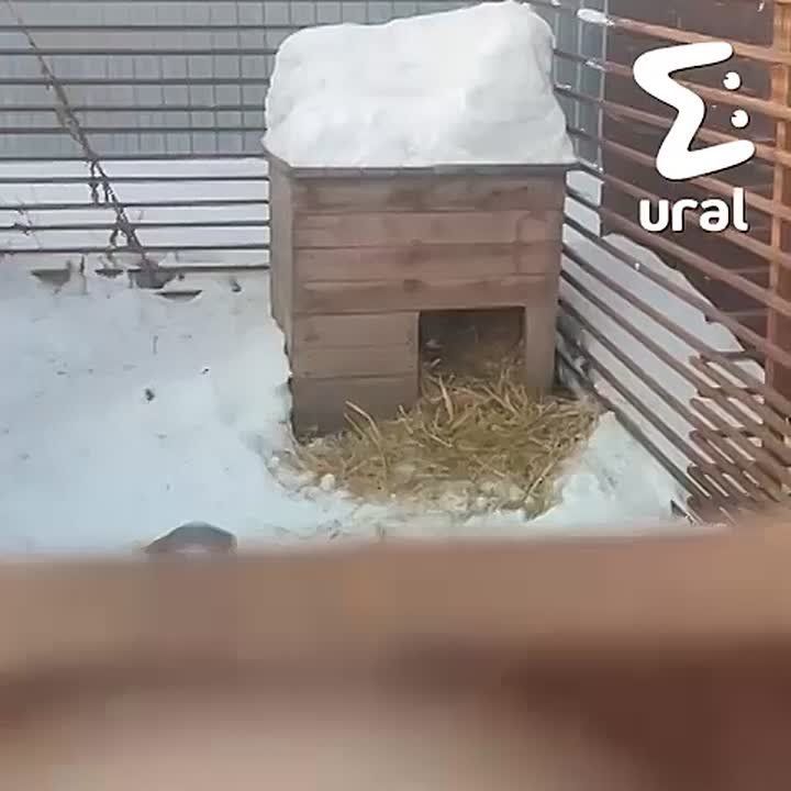 �������� �������� � � ������� �����, ��������� ��������� �� "���� �����" ������, ������� ����� ����� �