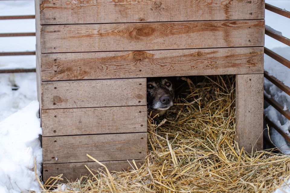 ����� � �����, � ���� �� ������: ��� ������ ����� ������ �������� �� ����������� ��������