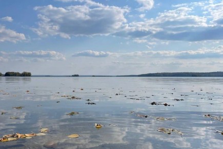 �� �������� ���������� ����� ����� ����� �����������