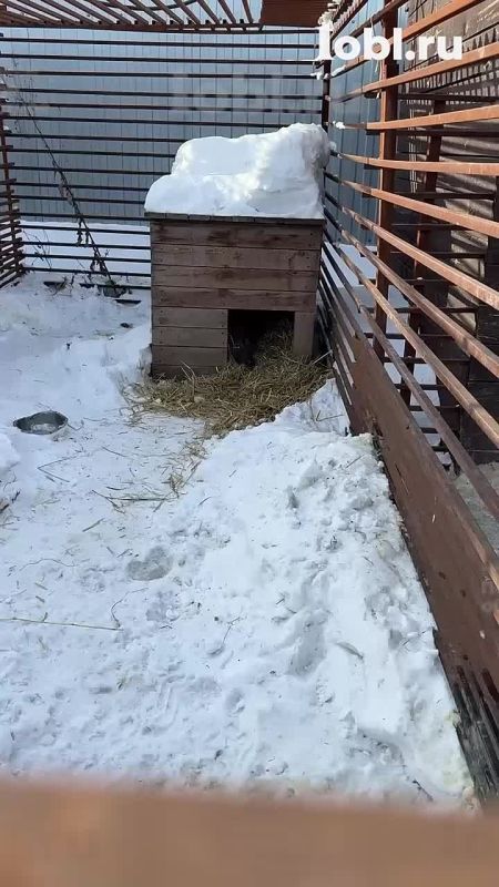 �������� �������� �����, ��� � ���������� � ������ ��������