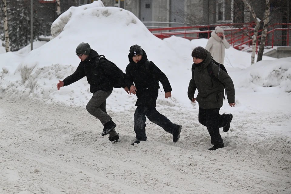 Зима недаром злится: В Челябинскую область вернулись 30-градусные морозы