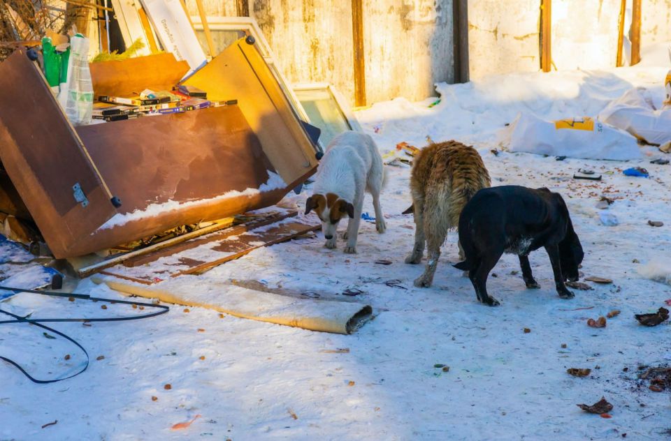 ���-��� � Max ����� �������� ����� 30 ����� � ����������