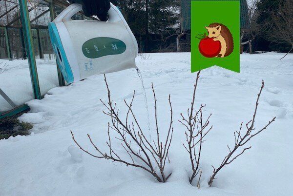 ����� ���� �������� ����� ��������: ������ ��� ���������