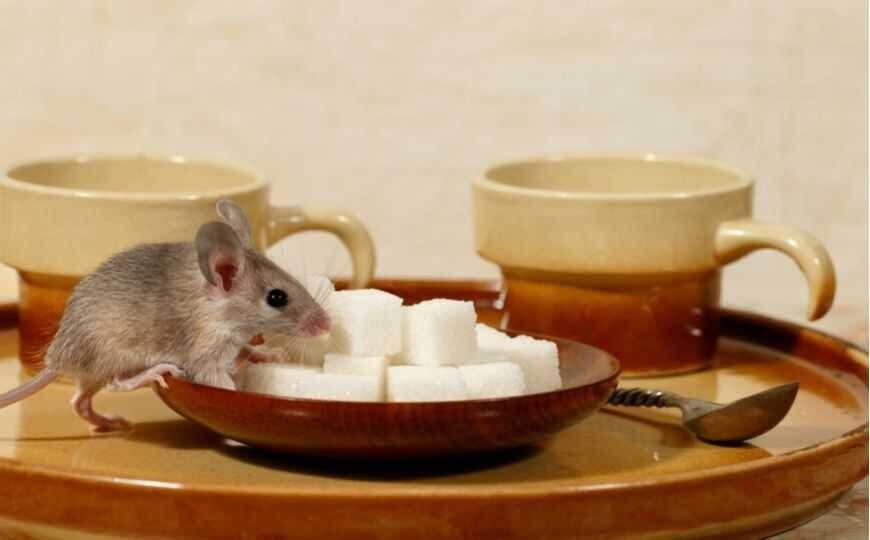 15 ������ �������, ������� ���� �� ���������