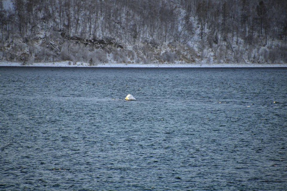 �����-�������� ��� �������: ����������� �������� ����������� ����� �������