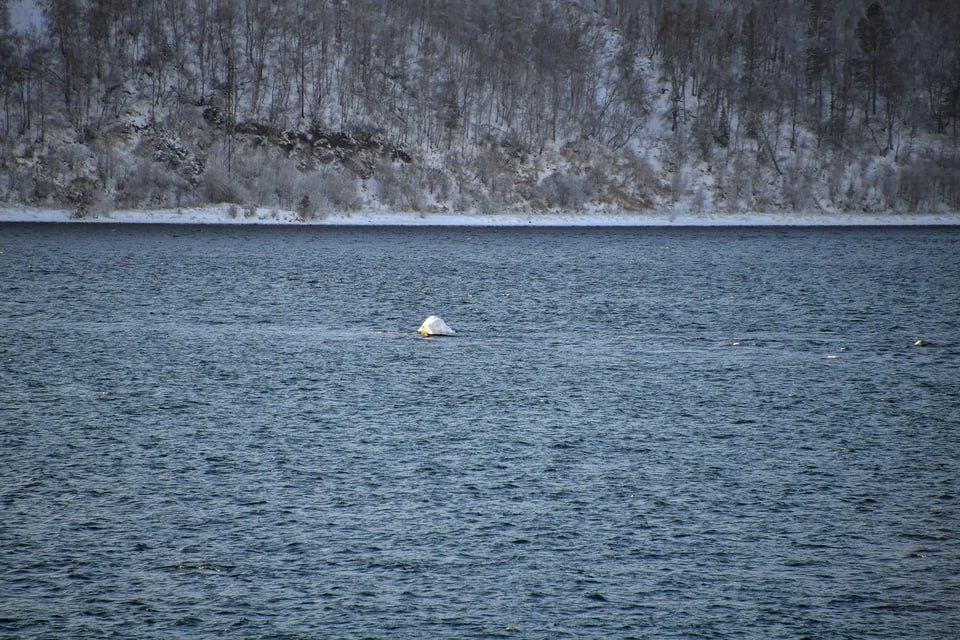 Озеро-памятник под угрозой: прокуратура проверит загрязнение озера Увильды
