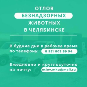 ������������ � �������: ������������� ������ ���������� ����� ��������� �����