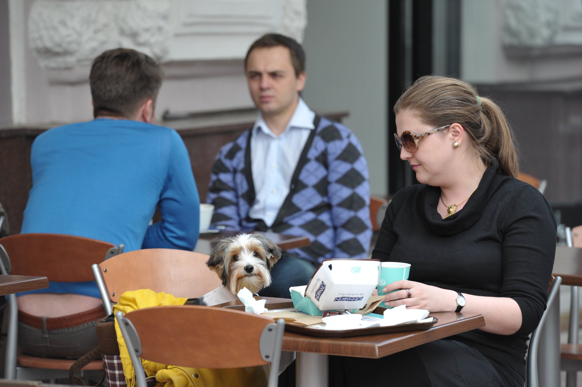 «Садиться за столик, где сидела собака, не буду»: почему решение «Додо Пиццы» вызвало шквал критики в интернете